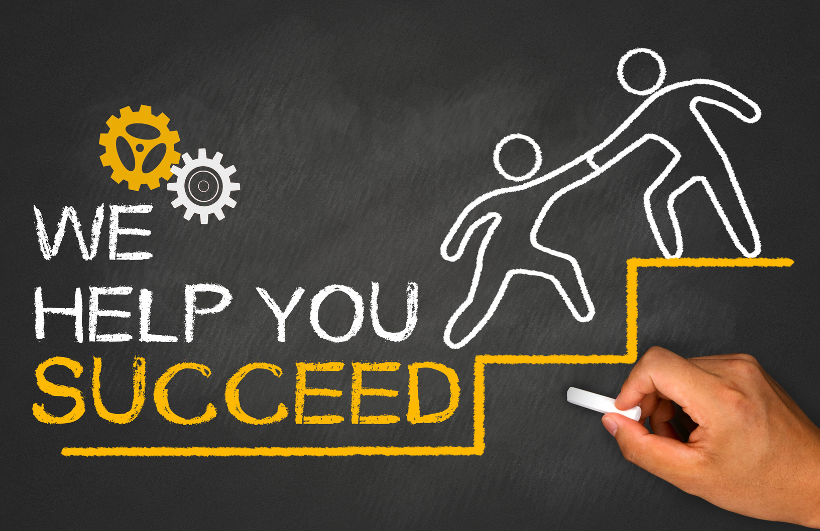 we help you succeed